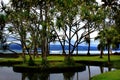 Richardson Beach Park in Hilo, Hawaii