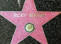 Ricky Martin's star on Hollywood Walk of Fame