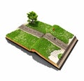 Road On The Book