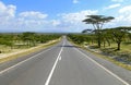 Road Close Up. Around The Land...