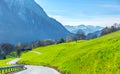 Road In The Spring Valley In S...