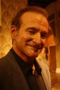 Robin Williams Wax Figure