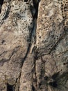 Rock Carved By Nature