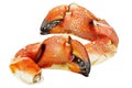 Rock  Crab Claws