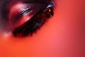 Rock Style. Macro Fashion Dark...