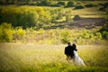 Romance In Nature
