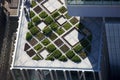 Roof Top Garden Modern Archite...