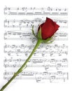 Rose And Music