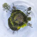 Round Trees Planet