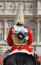 Royal Horse Guard