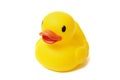 Rubber Duck