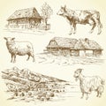 Rural Landscape, Village, Farm...