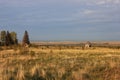 Russian Nature