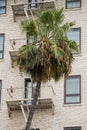 Rusted Fire ladder in LA building