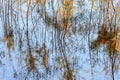 San Luis Rey River Abstract