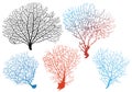 Sea fan corals vector set detailed black Stock Photography
