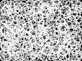 Seamless Pattern Background
