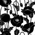 Seamless from poppies black can be repeated and scaled in any size Stock Photo