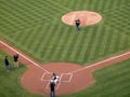 Season Ticket holder throws out the first pitch