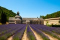 Senanque Abbey with lavender field