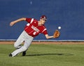 Senior league baseball world series centrefield