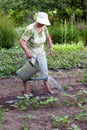 Senior Woman Working In Garden