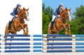Set - Equestrian Sport: Show J...
