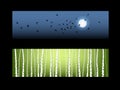Set Of Nature Banners