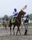 Shackleford Enters the Gate for The Belmont Stakes