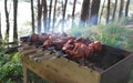 Shish Kebab Barbecue On Nature.