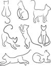 Silhouette Of Cats.