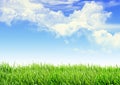 Sky Grass