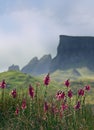 Skye mountains