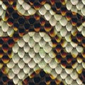 Snake Scales Background