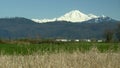 Snow Capped Mountain Mt. Baker