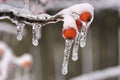 Snow And Ice Storm