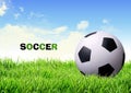 Soccer ball on grass