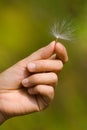 Soft Fire Of Nature