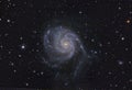 Spigal galaxy (M101