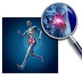 Sports Hip Injury
