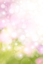 Spring Bokeh Background