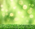 Spring Bokeh