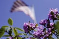 Spring Flower and American Flag