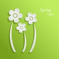 Spring Flowers Background