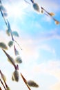 Art Spring Flowers Background ...