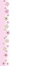 Spring Flowers Border