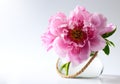 Spring Flowers In Vase On Whit...