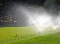 Sprinkler Watering In The Garden