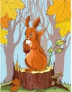 Squirrel with acorn in autumn forest