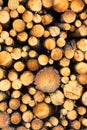 Stack Of Wood